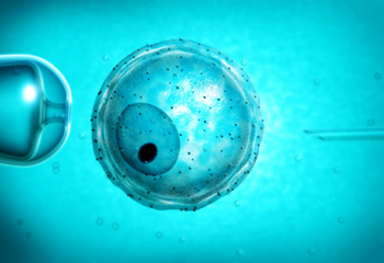 陈思远